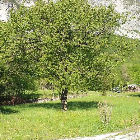 아파트 Casa Alpe-adria *